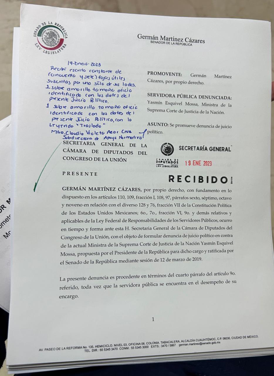 Presentan Segunda Solicitud De Juicio Político Contra Yasmín Esquivel ...